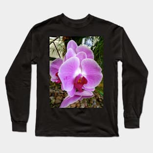 Lavender Orchid Petals Long Sleeve T-Shirt